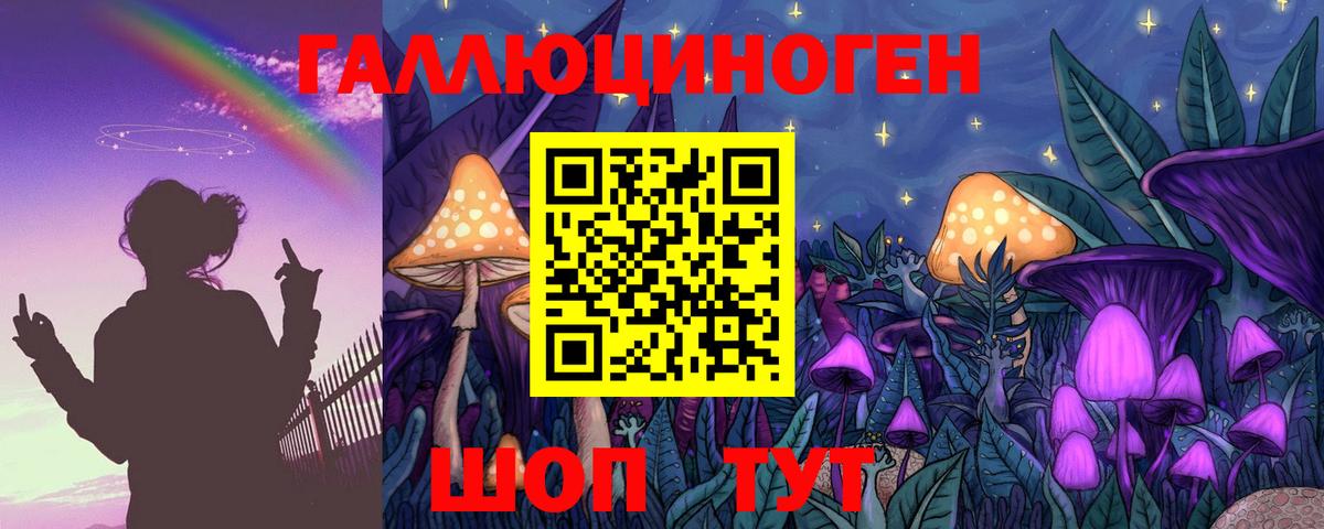 Псилоцибиновые грибы MAGIC MUSHROOMS  Вход с VPN  Россия  Псилоцибиновые грибы мицелий 