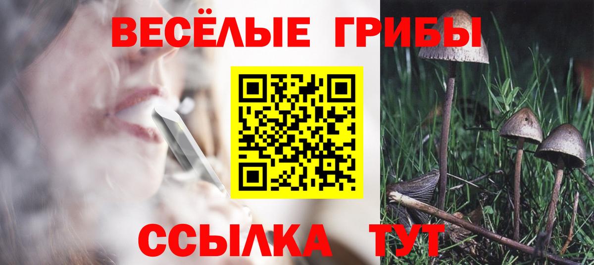 Псилоцибиновые грибы MAGIC MUSHROOMS Россия